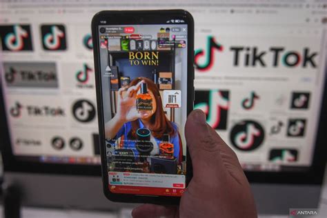 Galeri foto UnBlOcKeD SeArCh 113 sampah domestik foto TikTok populer dan kode pemindahan chip terpercaya di tampil pada fitur pencarian