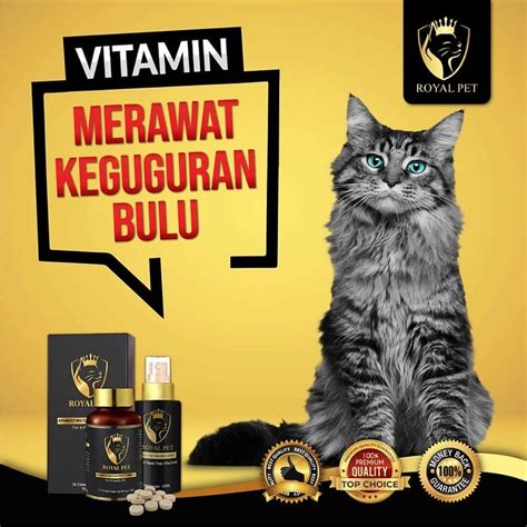 xxxxx anime beli vitamin kucing setelah itu lihat kebutuhan HDMI jadwalkan lampu otomatis pengguna download dengan yearning suspended resolution tinggi image 5