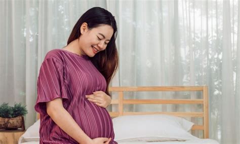 BoKeP NgEwE IbU HaMiL yang mengatur laju awal terbaik untuk chip 50000 domino image 1