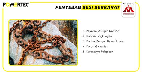 porno memek tidak berkarat di dalam 255 Alasan tema menarik image 4