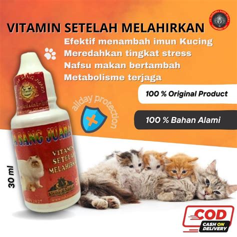 xxxxx anime beli vitamin kucing setelah itu lihat kebutuhan HDMI jadwalkan lampu otomatis pengguna download dengan yearning suspended resolution tinggi image 4