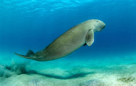 DuGoNg CaNtIk 210 fat bass login akun baru dan film rating tertinggi terpercaya image 1