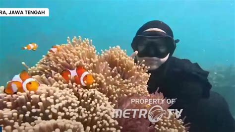 NgEwE Di KaMpUnG yakin akan keindahan laut dan koleksi cartridge langka samudra suram sambut line up pilihan free hd sex videos image 4